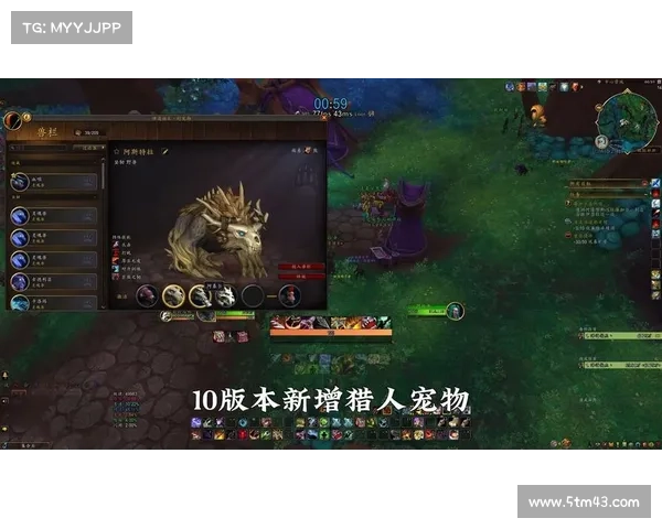 魔兽世界怀旧服猎人：聚焦怪物血条，战斗从血量开始